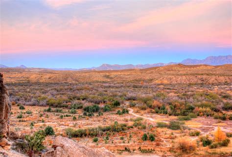 Desert Landscape At Dusk At Big Bend National Park Texas Image Free
