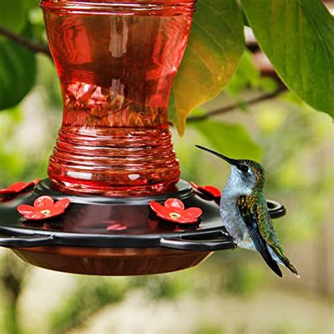 Juegoal Glass Hummingbird Feeders For Outdoors 26 Oz Wild Bird Feeder With 5 Feeding Ports