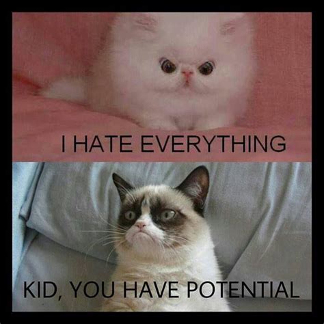 Kid You Have Potential Grumpy Cat Meme Grumpy Cat