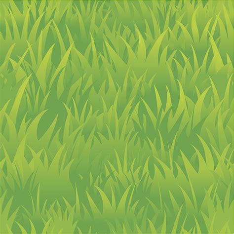 Best Cartoon Of A Grass Texture Seamless Illustrations Royalty Free