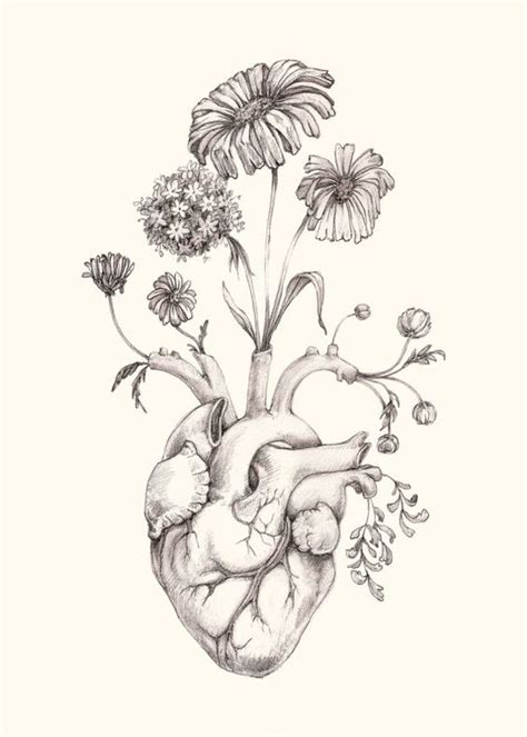Drawings hearts easy heart with flowers drawing tumblr pencil. Rose With Heart Drawing at GetDrawings | Free download