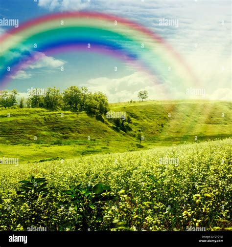 Rainbow On The Meadow Abstract Natural Backgrounds For Your Design