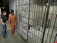 Interrogation Femdom Tube Search Videos