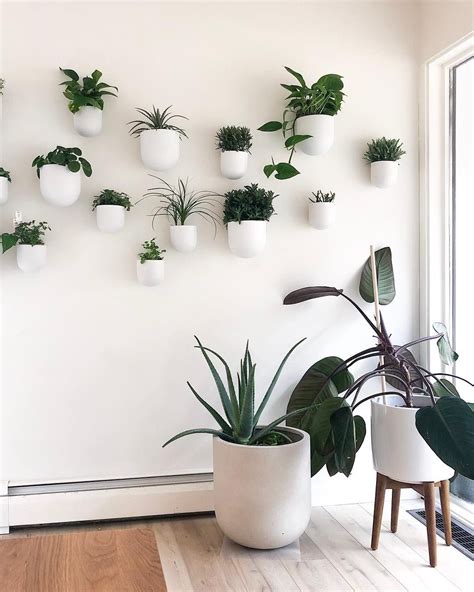 Turned a bare, empty corner into a plant corner in our living room i love. houseplants indoor plants plants decor home decor interior ...