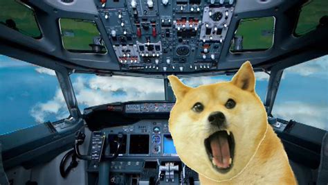 Doge Flys A Plane Rdogelore Ironic Doge Memes Know Your Meme