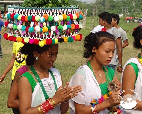 Tharu Women Dashain Bardiya Nepal Bardia Homestay Nepal