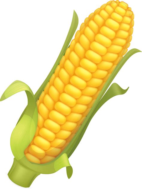 Corn Clipart Png Corn Clipart Corn Coloring Page Transparent Png Images