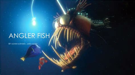 Ppt Angler Fish Powerpoint Presentation Free Download Id2183136