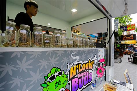Cannabis Is Now Legal In Thailand But Its Complicated What Travelers