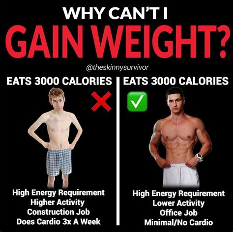Pin On Workout Nutrition And Diet Plans For Men And Women