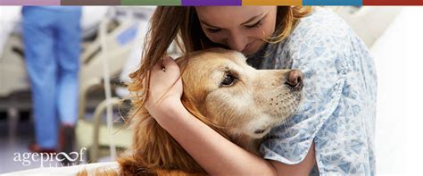 In terms of breed, no one. pets as therapy for depression