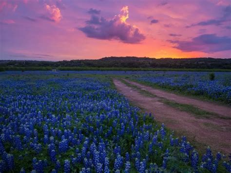 Awesome Things To Do In The Texas Hill Country Enchanting Texas