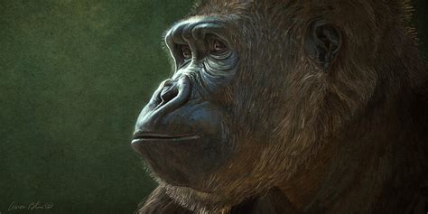 Gorilla Digital Art By Aaron Blaise Fine Art America