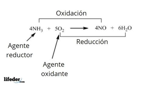 Agente Oxidante Concepto Los Más Fuertes Ejemplos