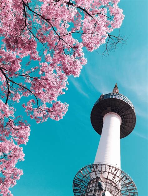 20 Selected Korean Spring Wallpaper You Can Use It Without A Penny