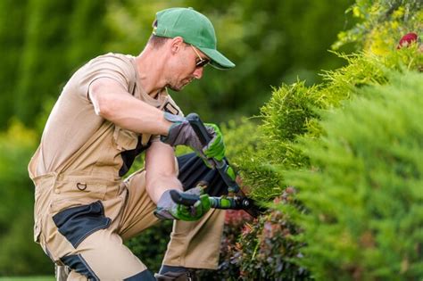 Premium Photo Professional Gardener Trimming Shrubs Closeup