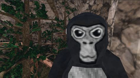 Gorilla Tag Vr For Oculus Quest 2 This Is Serious Monkey Business