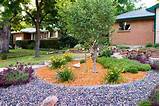 Xeriscape Landscaping Pictures Pictures