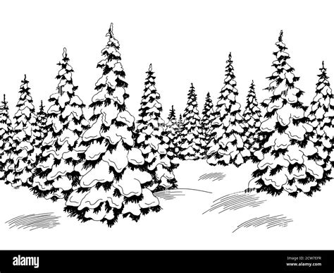 Winter Forest Graphic Black White Fir Tree Landscape Sketch