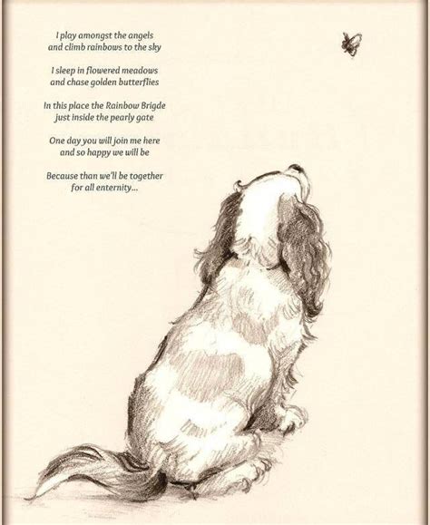 See more ideas about rainbow bridge, dogs, pet loss. Rainbow bridge | Dog poems, Pet loss grief, Pets