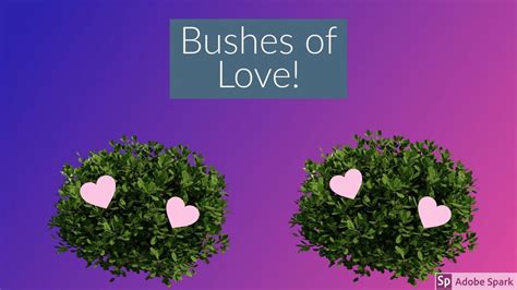 Bushes Of Love Edit Youtube