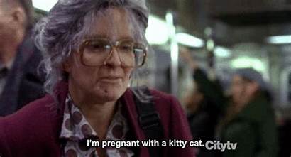 Crazy Lady Cat Pregnant Funny Gifs Kitty