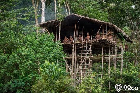 Mengenal Suku Papua Yang Unik Bukti Keragaman Indonesia