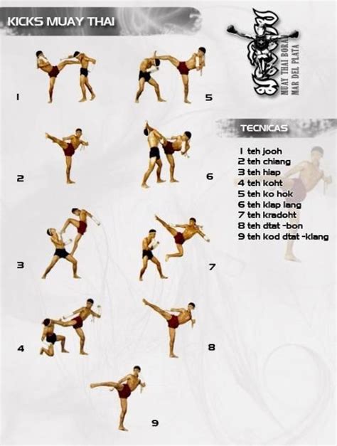 Muay Thai America Fight Training Muay Thai Training Mma Training Martial Arts Training Muay