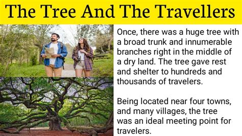 The Tree And The Travellersa Moral Story In English Youtube