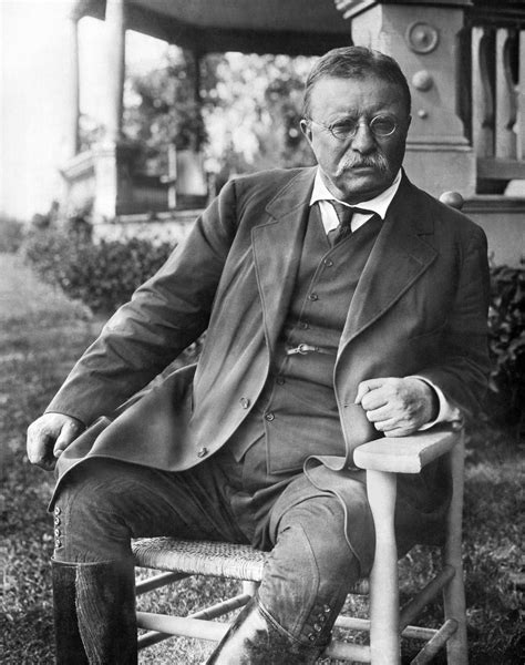 Biografi Theodore Roosevelt Lakaran