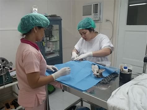 CARA Welfare Philippines » CARA Clinic Services & Rates
