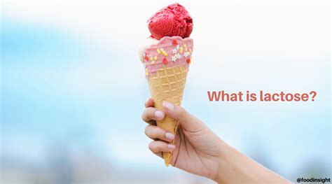 What Is Lactose Food Insight