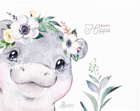 Baby Hippo Watercolor Little Animal Clipart Babies Flowers Etsy