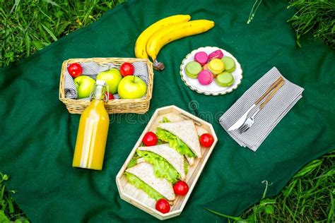 Food For Picnic On Tablecloth On Green Grass Meal Outdoor Concept