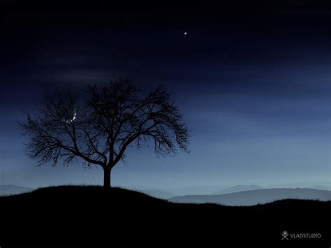 Online Crop Silhouette Photography Of Tree During Nighttime Night