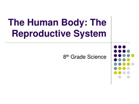 Ppt The Human Body The Reproductive System Powerpoint Presentation