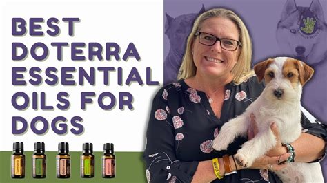 Best Doterra Essential Oils For Dogs And How To Use Them Youtube