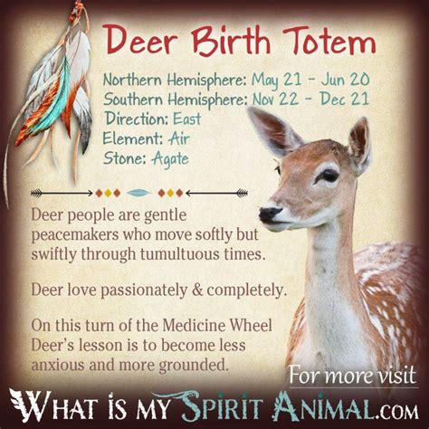 Deer Totem Native American Zodiac Signs And Birth Signs