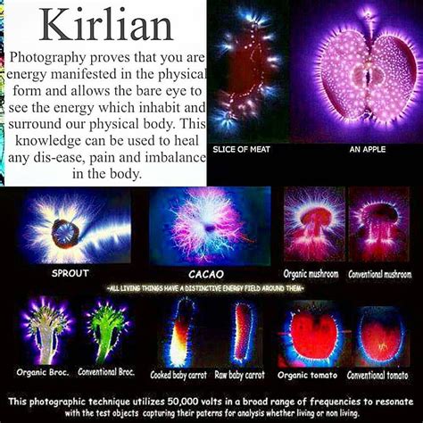 Kirlian Aura Photography Capturing The Energetic Field Of Things We