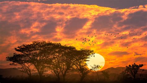 Beautiful Sunset Red Sky Clouds Trees Birds Mountains