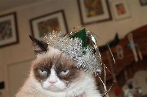 Happy New Years From Grumpy Cat Grumpy Cat The Worlds Grumpiest