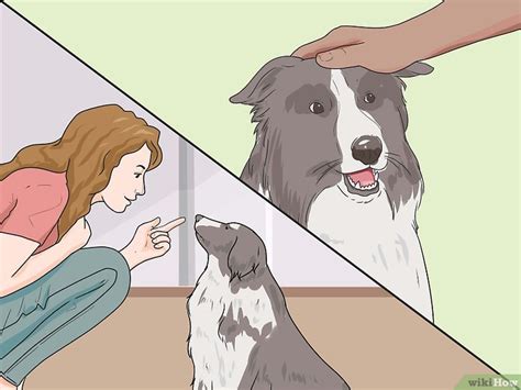 Einen Erwachsenen Hund Ausbilden Wikihow