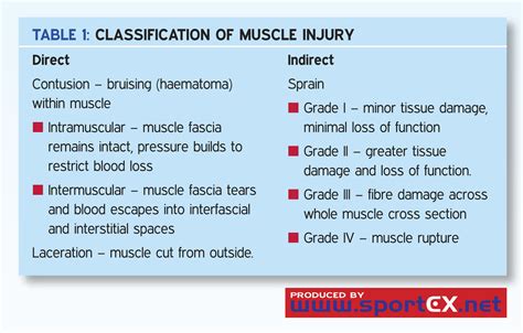 Classification Of Muscle Injury A Photo On Flickriver