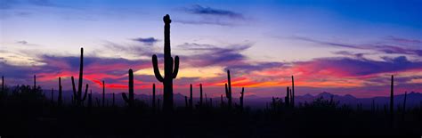 Desert Cactus Sunset Wallpapers Top Free Desert Cactus Sunset