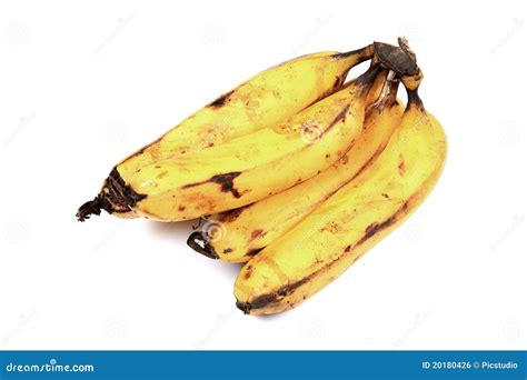 Hybrid Bananas Stock Photo Image Of Refreshment Close 20180426