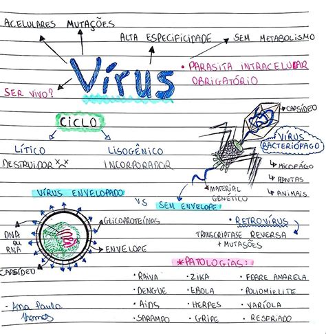 Mapas Mentais Sobre VÍrus Study Maps