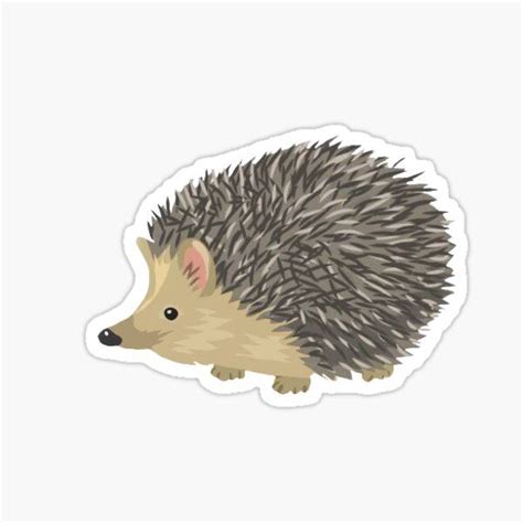 Flower Crown Hedgehog Sticker By Mylasthigh In 2021 Hedgehog