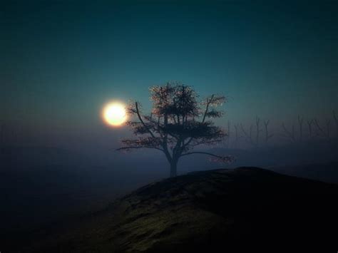 Full Moon On Foggy Night Wallpaper Hd Nature 4k