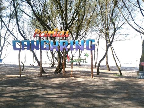 Pantai Cangkring Bantul Info Harga Tiket Masuk Lokasi Rute Jam