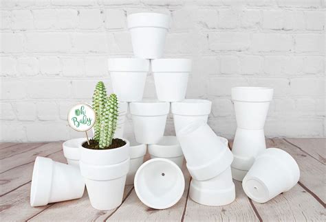 Buy My Urban Crafts 20 Pcs White Terracotta Clay Pots 25 Inch Small